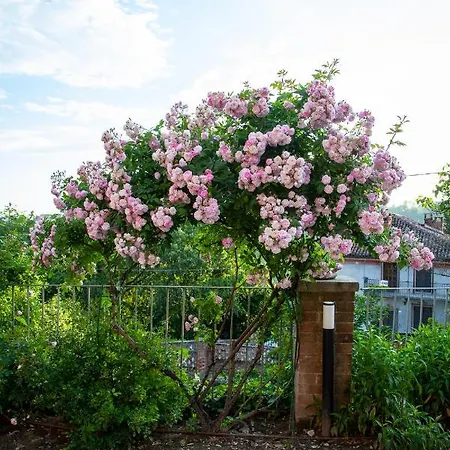 Bed and breakfast Castello Mellana 3*