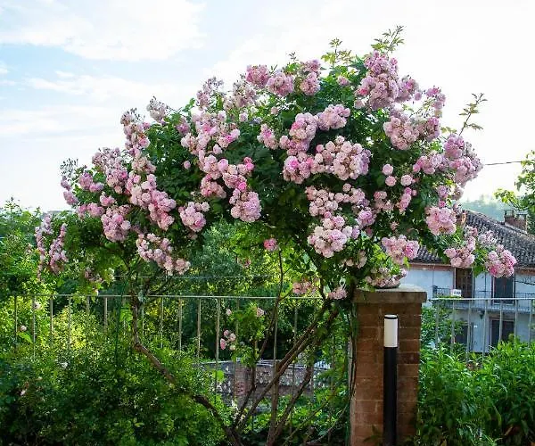 Bed & Breakfast Castello Mellana 4*